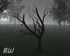 Crow Tree Animated Sound