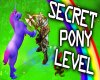 Secret Pony Level!!!