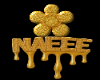 naeecus
