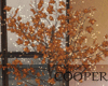 !A autumn tree