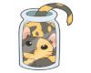 Kitty jar