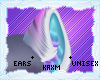 ꨄStacy Earsꨄ