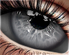 ♰ F Silver Eyes