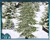 Snow Tree Lights