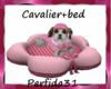 cavalier+bed