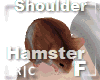 R|C Hamster Brown F