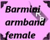 [rb]barmini band