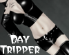 *TY Day Tripper