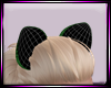 Dp cat Ears