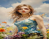 Summer Field - VRect