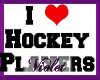 (V) Hockey banner