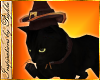 I~Witches Black Cat