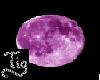 Moonlit Purple