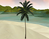 Tropical Palm Tree v3