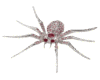 Anim. Jewelled Spider 1