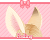 🎀Fennec ears 1