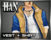 [H]Vest+Shirt|BB