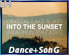Into The Sunset |D+S