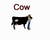 Ma Cow
