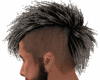 Gray Mohican