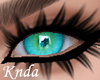K* Color Sea