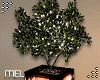 Mel-Tree Planter /Light