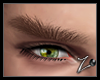 Z | Eyebrow 01 maroon