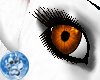 [S]Dark Orange Eye {F}