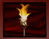 BB The Torch Banner