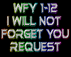 Will Not Forget You rmx