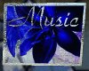 blue lilly music player