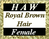 Royal Brown Hair - F