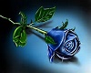 ~B~Blue Rose Art