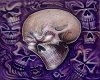 purple skull club