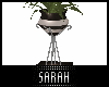4K .:Planter:.