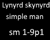 Lynyrd skynyrd simple p1