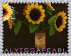 Boho Hippy Sunflowers
