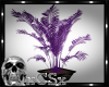 CS Purple Plant