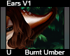 Burnt Umber Ears V1