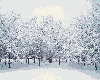 2 Winter BGs
