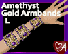 .a Amethyst GLD Arm X3 L