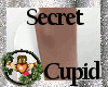 ~QI~Secret Cupid Shoes P