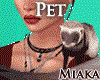 Furet