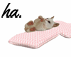 ha. Kitten Pink Pillows