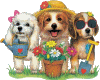 Dogs Gardening