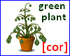 [cor] Green plant