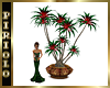 Bromeliad Palm