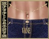 VANE GOLD BELLY CHAINS