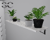 SC Plants 21 - walls