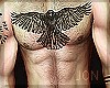JKS - muscled Tattoo